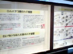 兵庫県立人と自然の博物館での展示風景その３