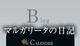 Blog }K[^̓L