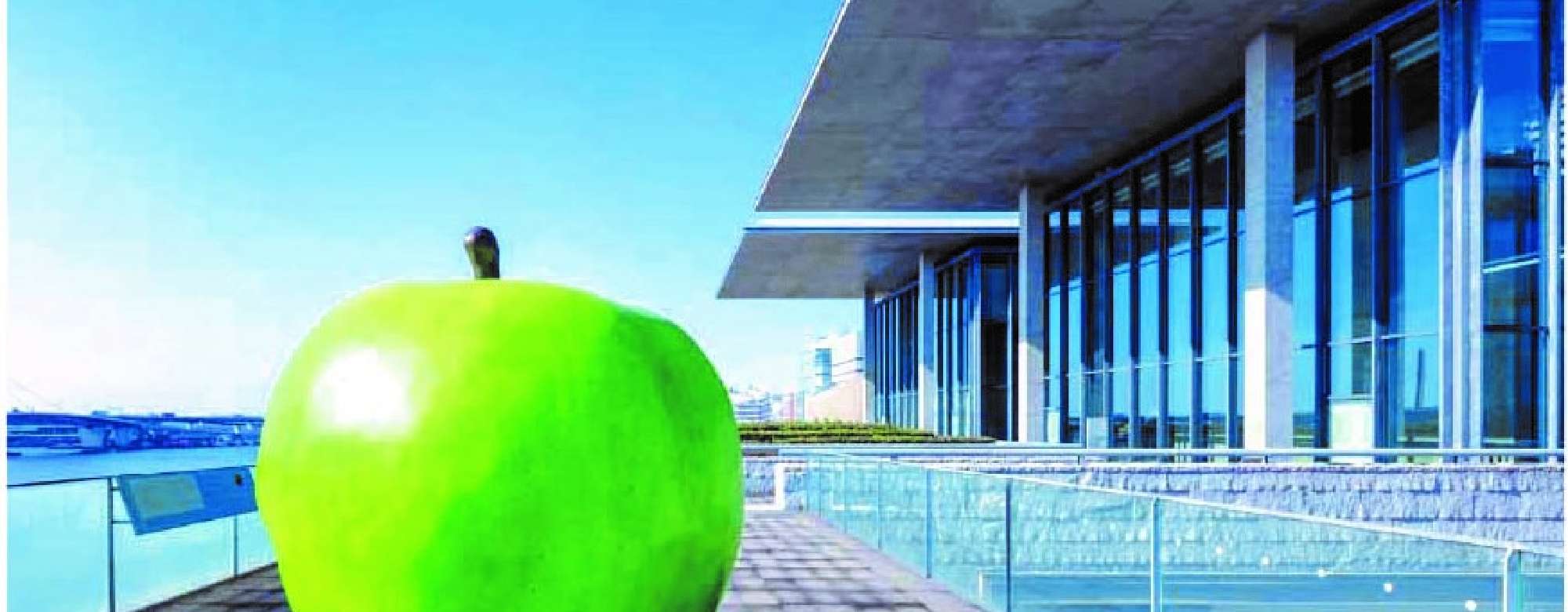 青りんご /©Shigeo Ogawa.