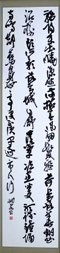 sŗtR 