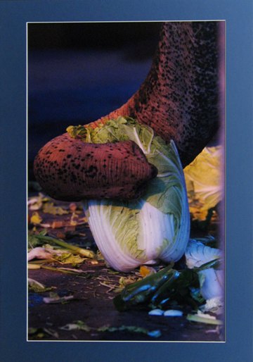 054