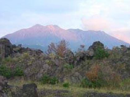 鹿児島について