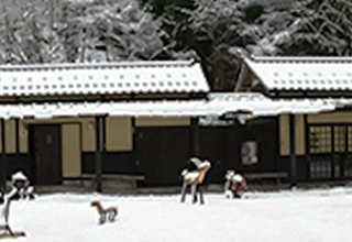 ささやまの森公園