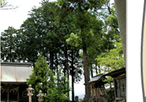 青山神社