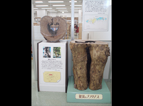 神戸市立兵庫図書館「戦災記念資料室」