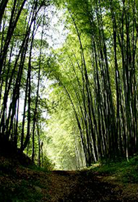 鎌坂峠