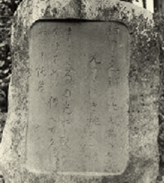 前田純孝館 | ネットミュージアム兵庫文学館 : 兵庫県立美術館