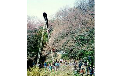 伊勢の森神社のはしご獅子