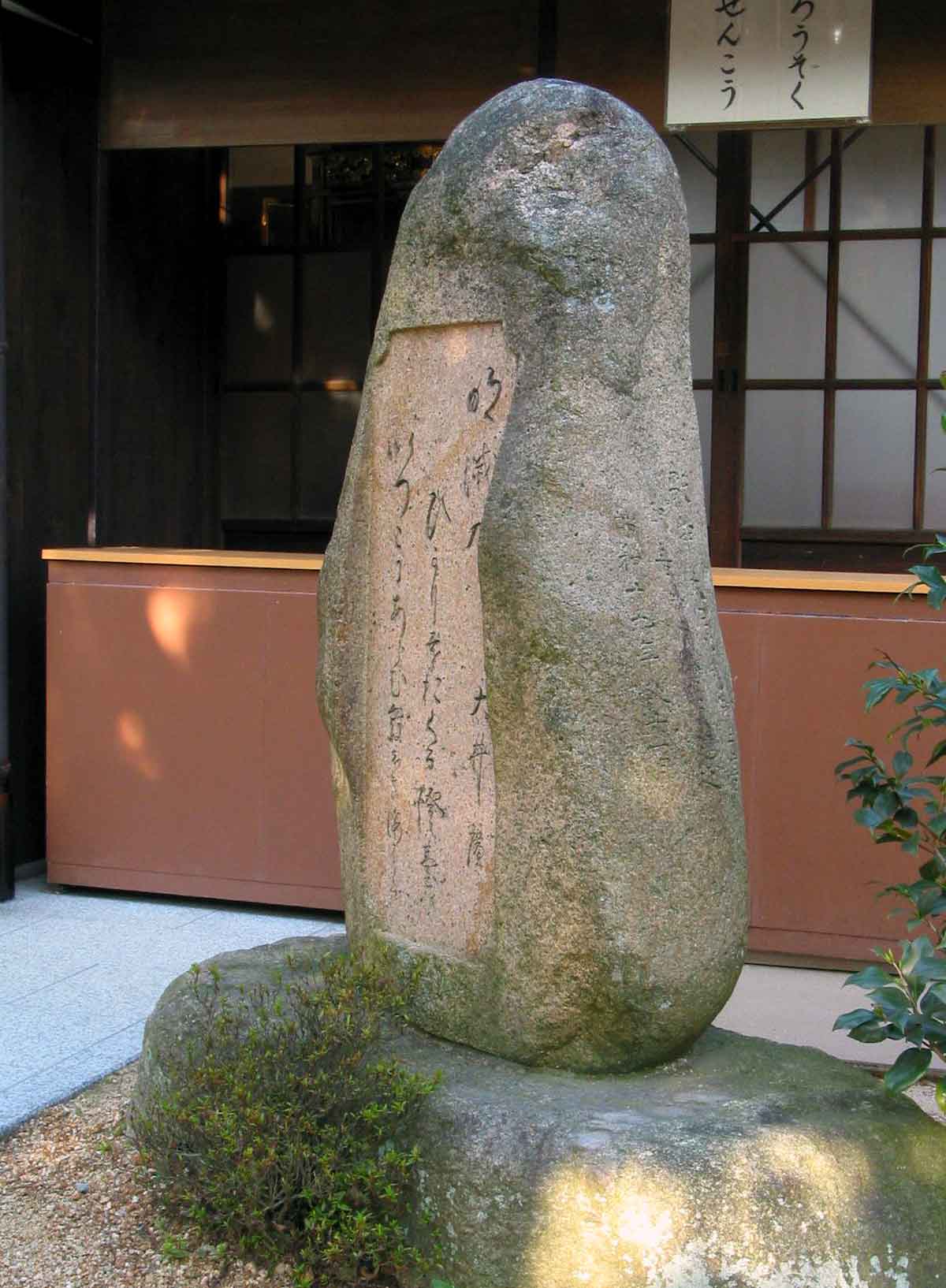 右全景
