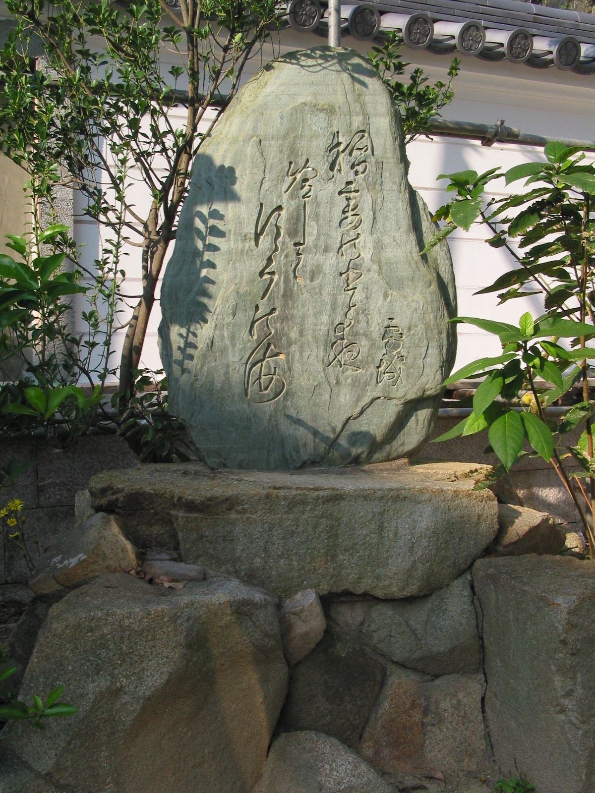 正面全景
