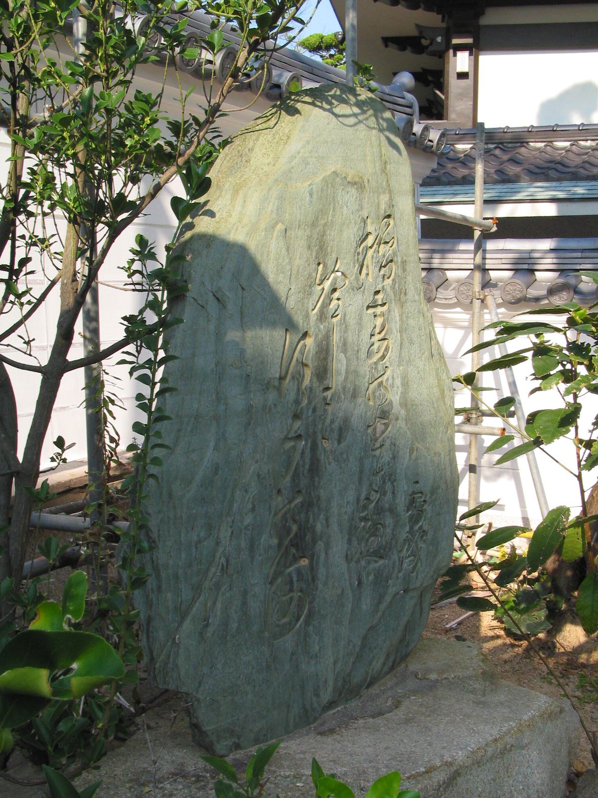 左斜め全景