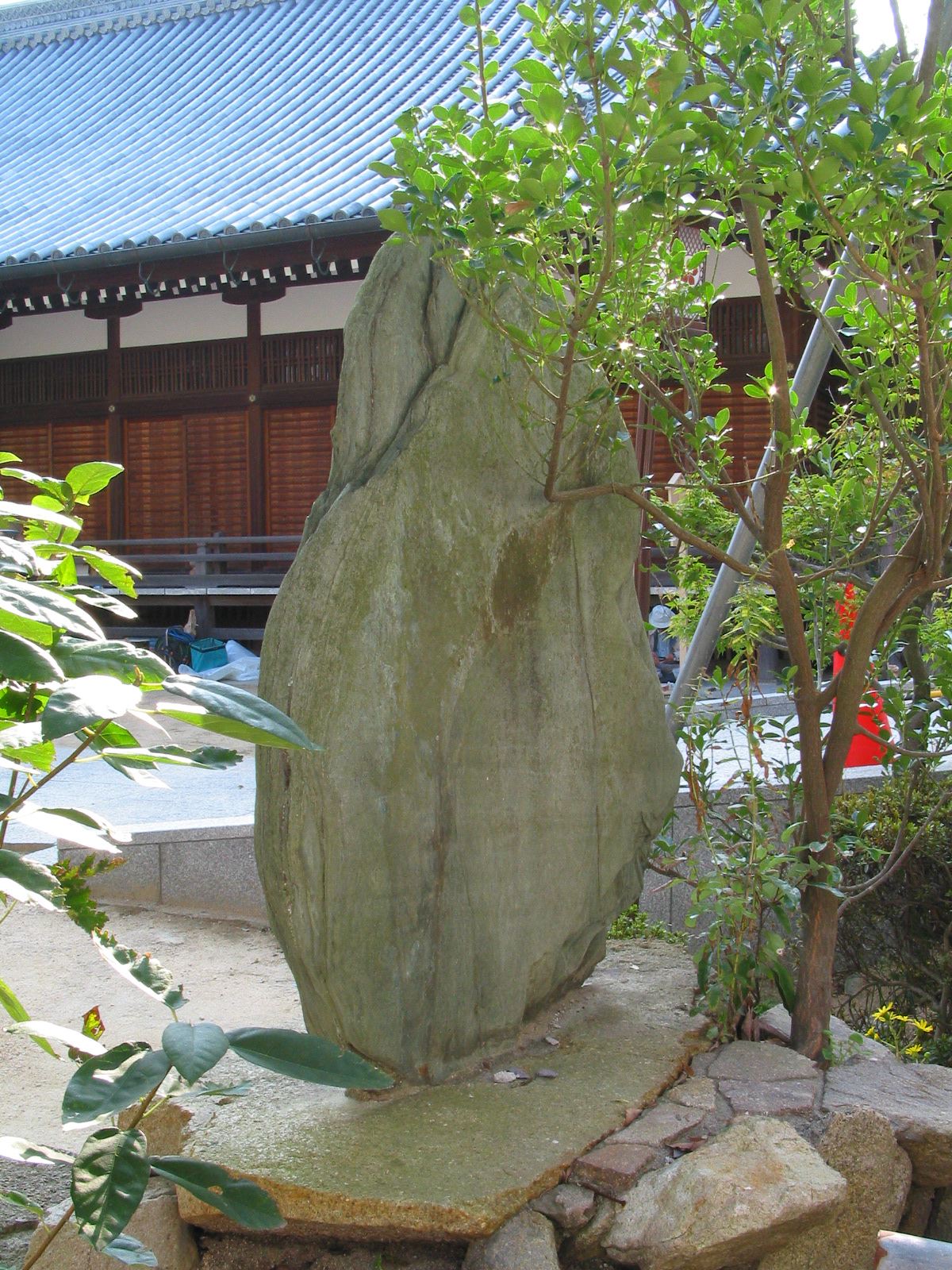 右斜め全景