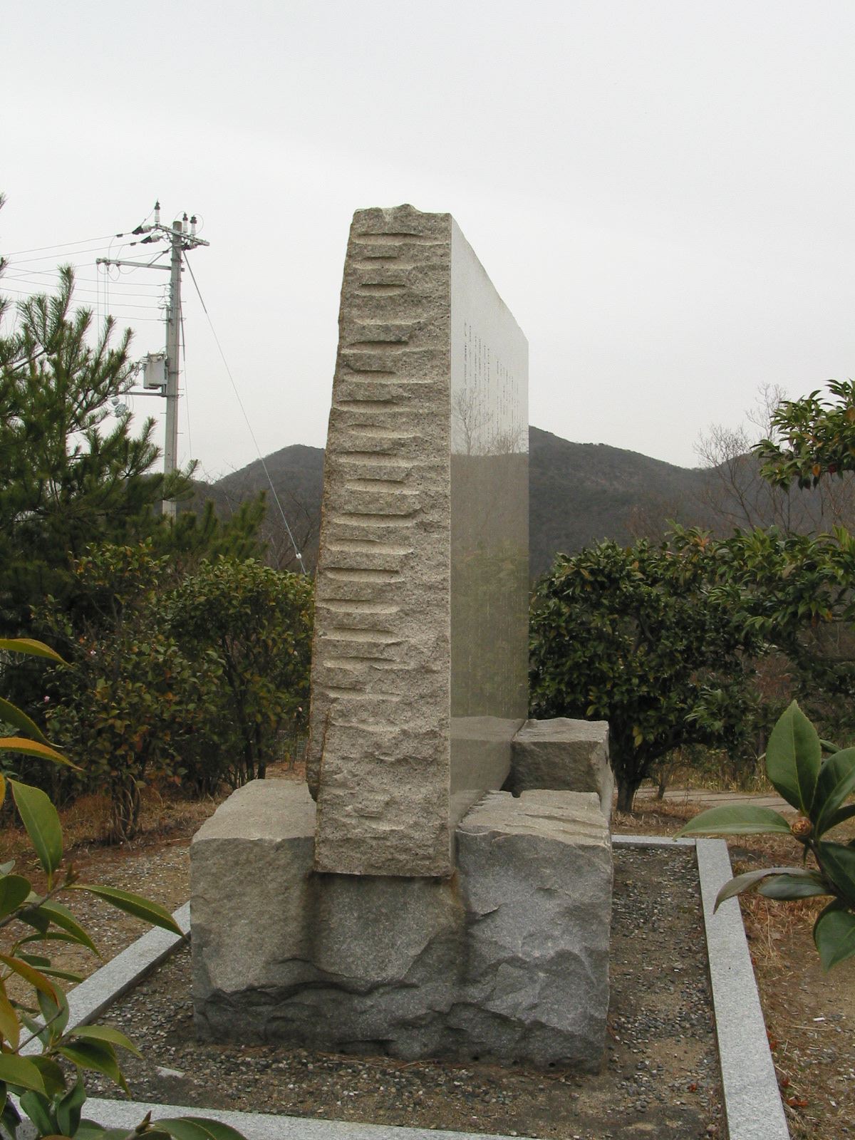 右全景