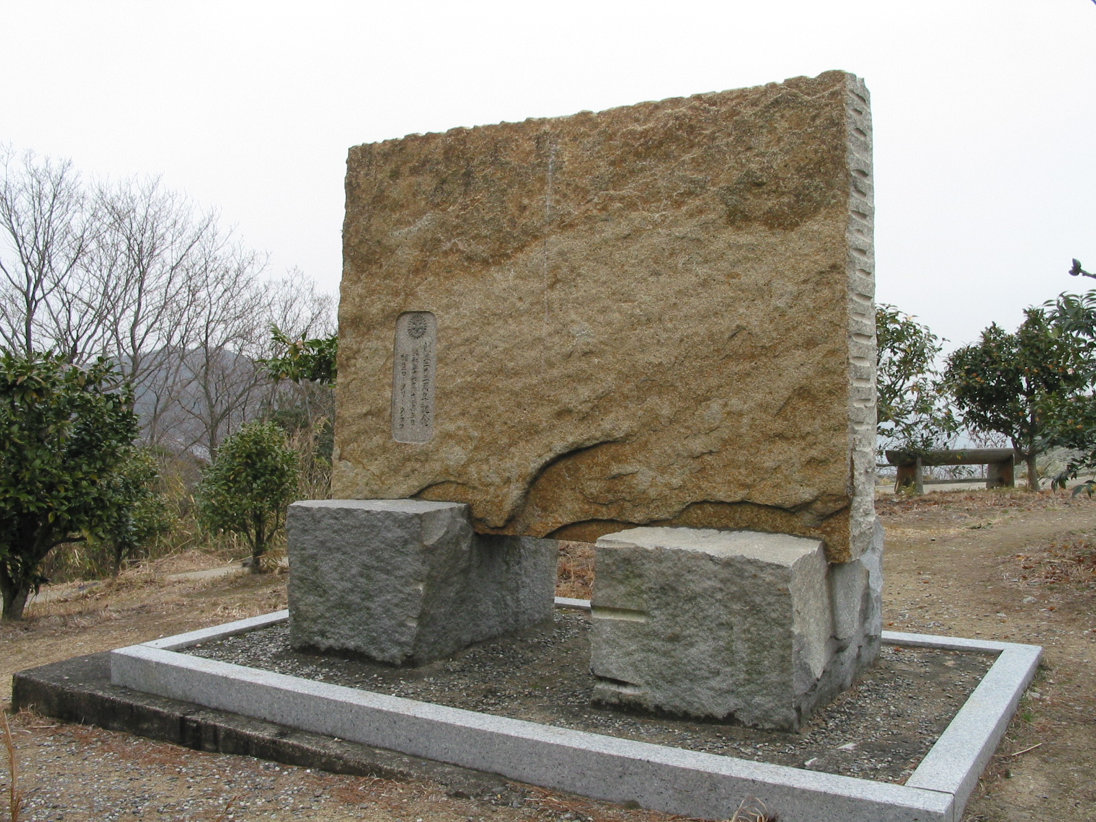 背面