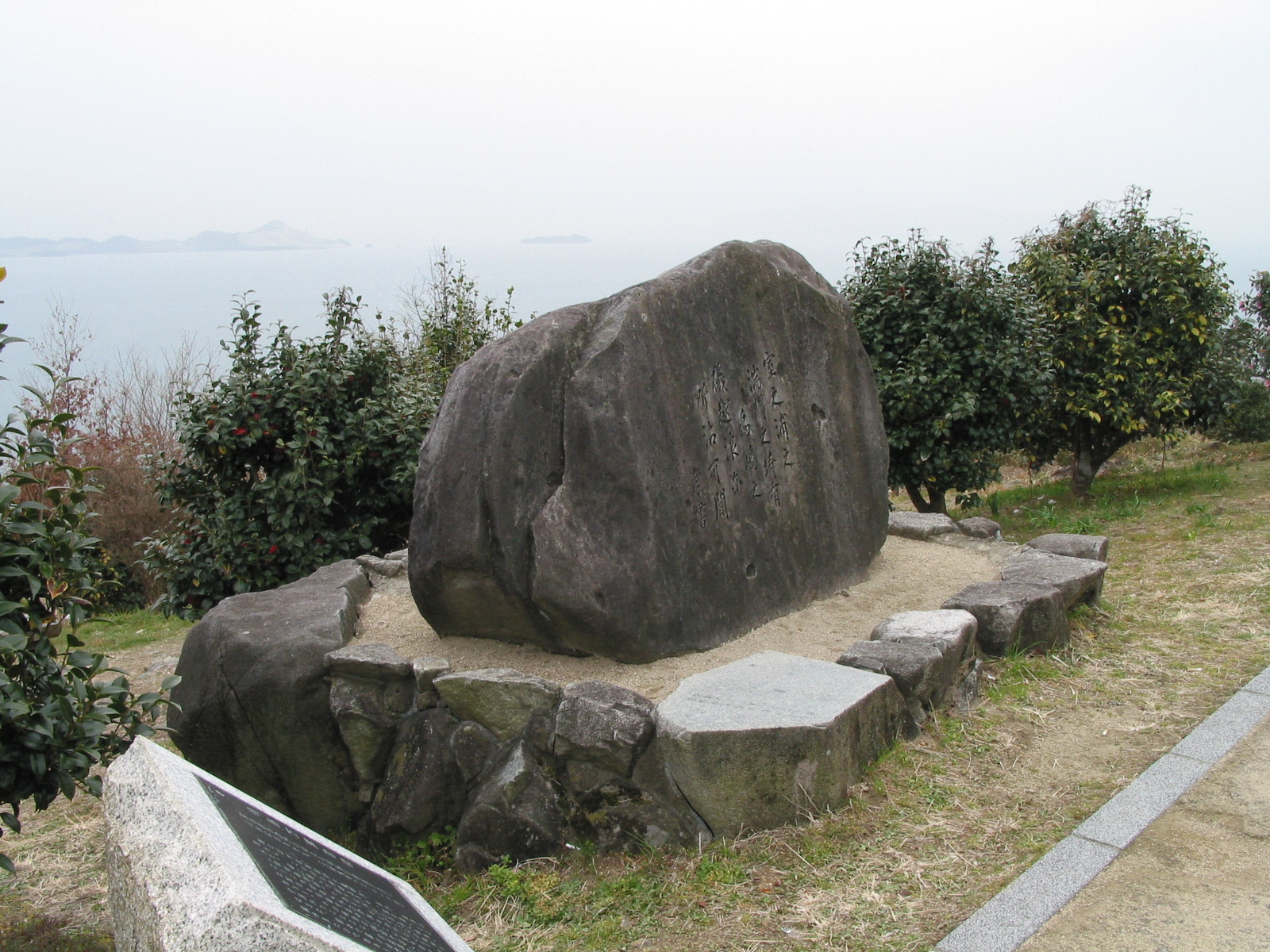 左全景