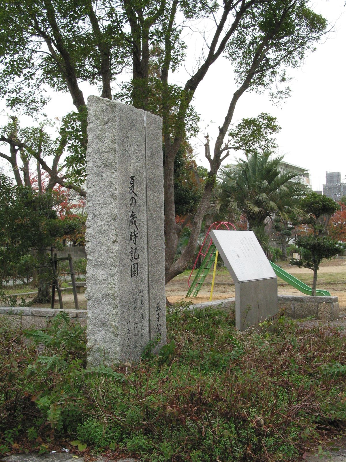 左斜め全景