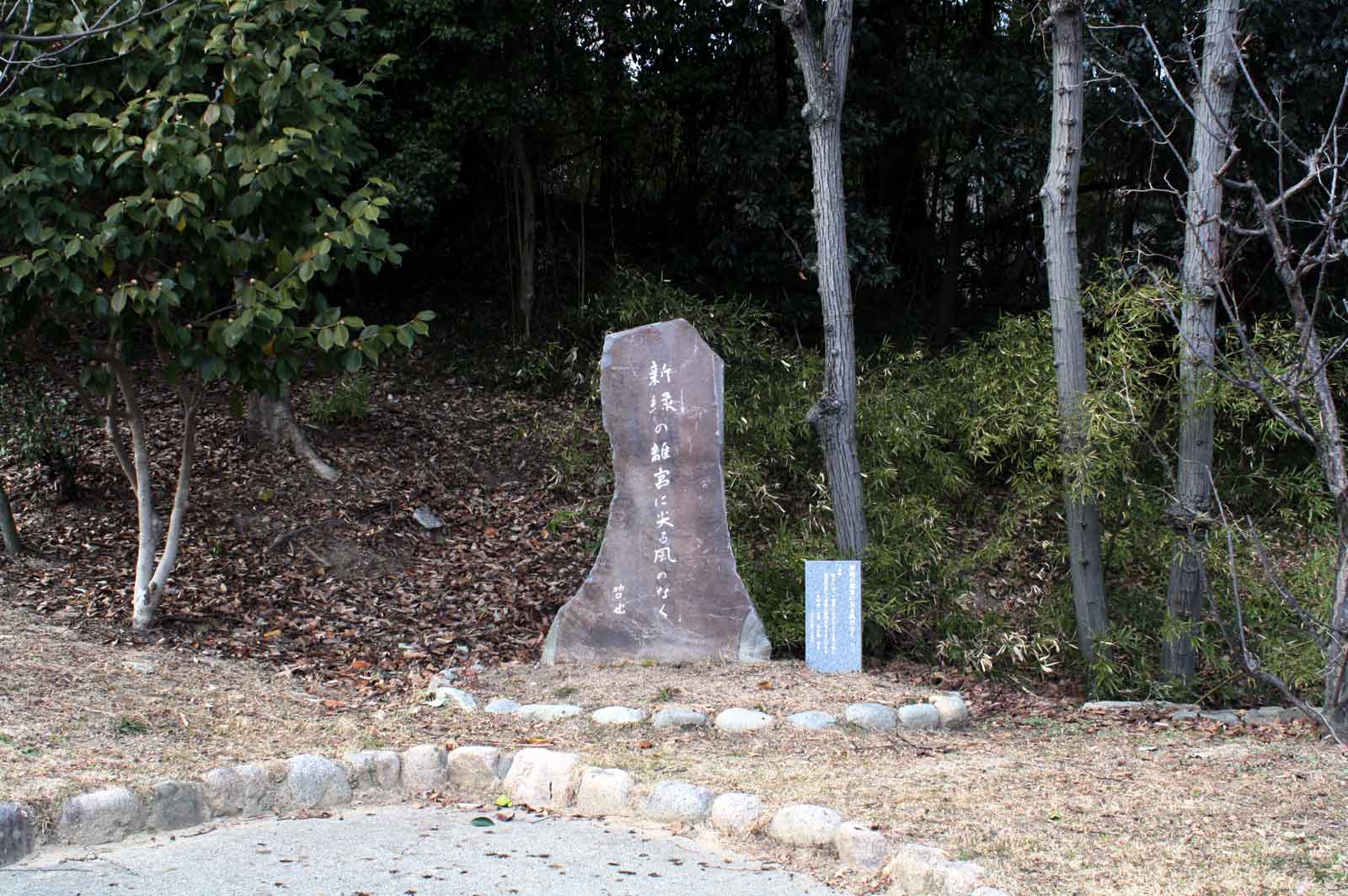 全景