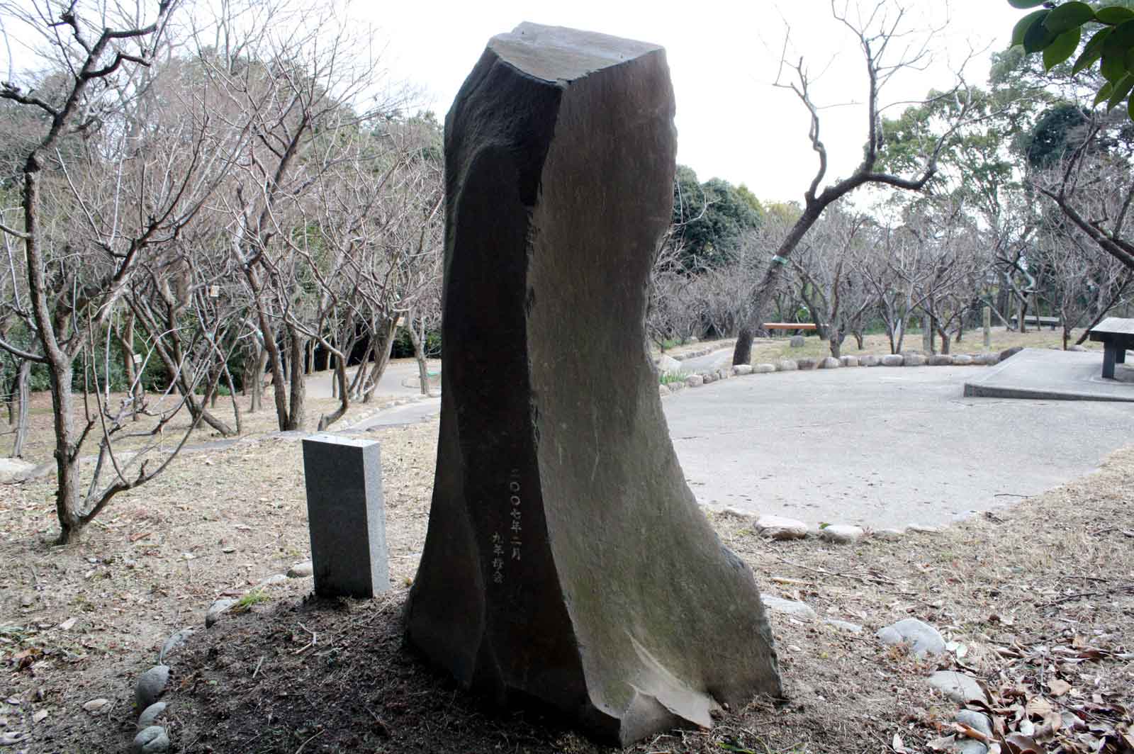 背面