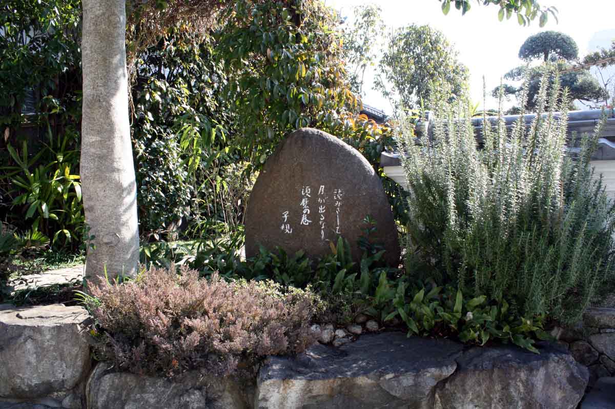 全景