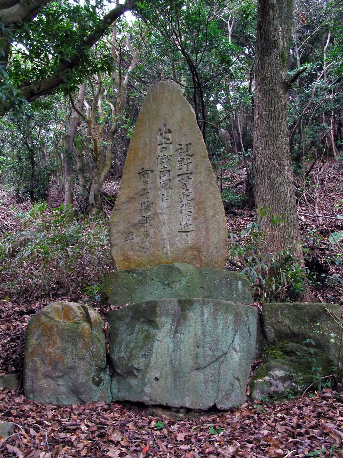 全景