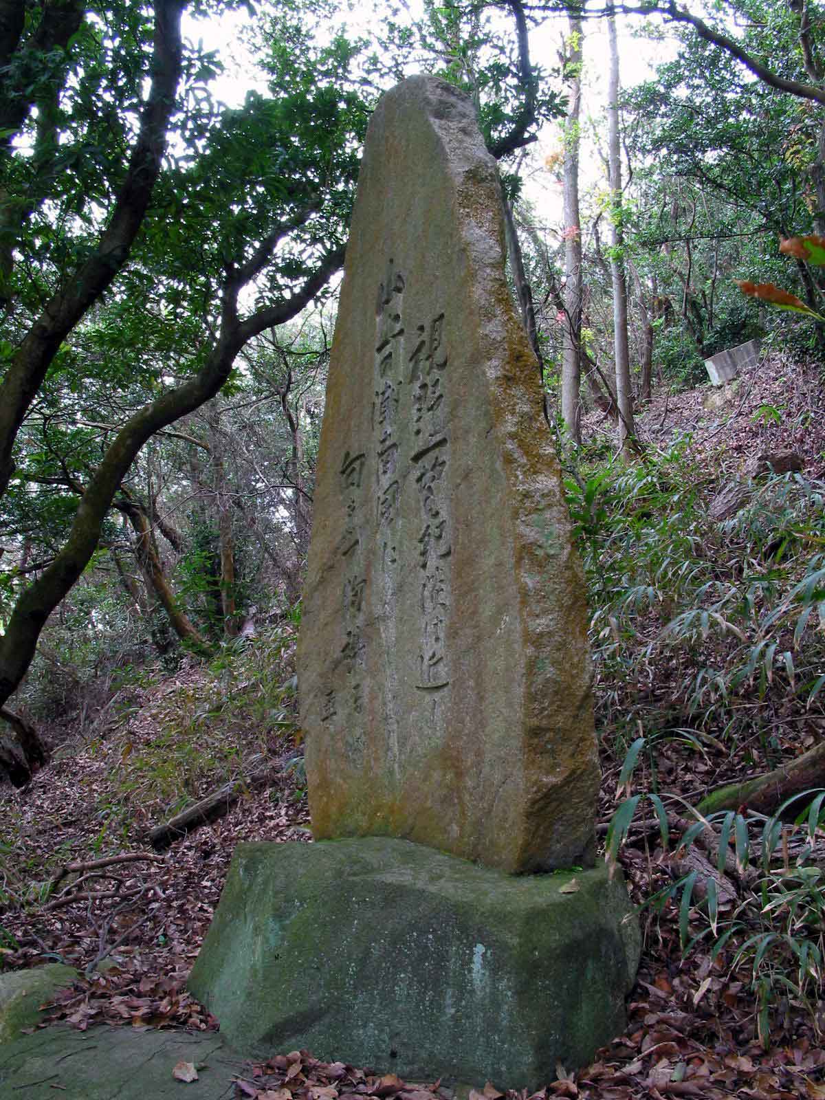 右全景