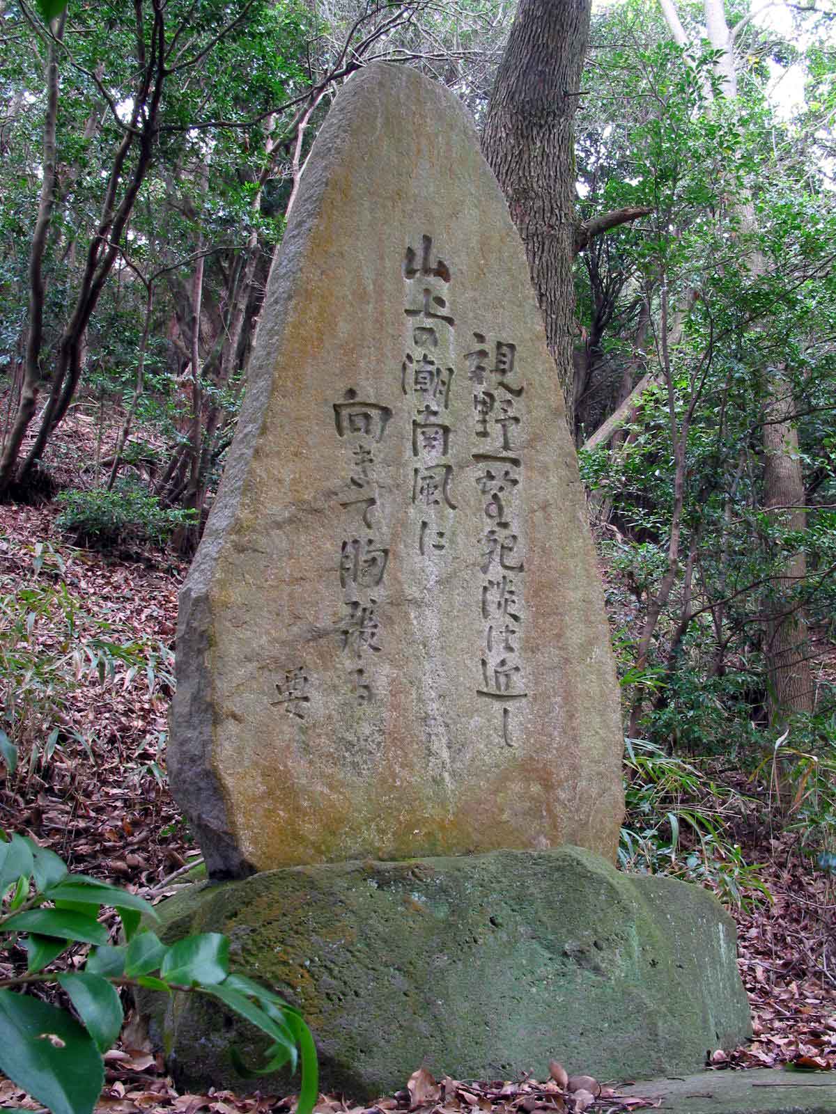 左全景