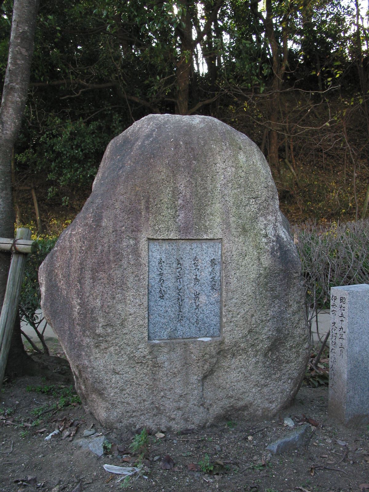 背面全景