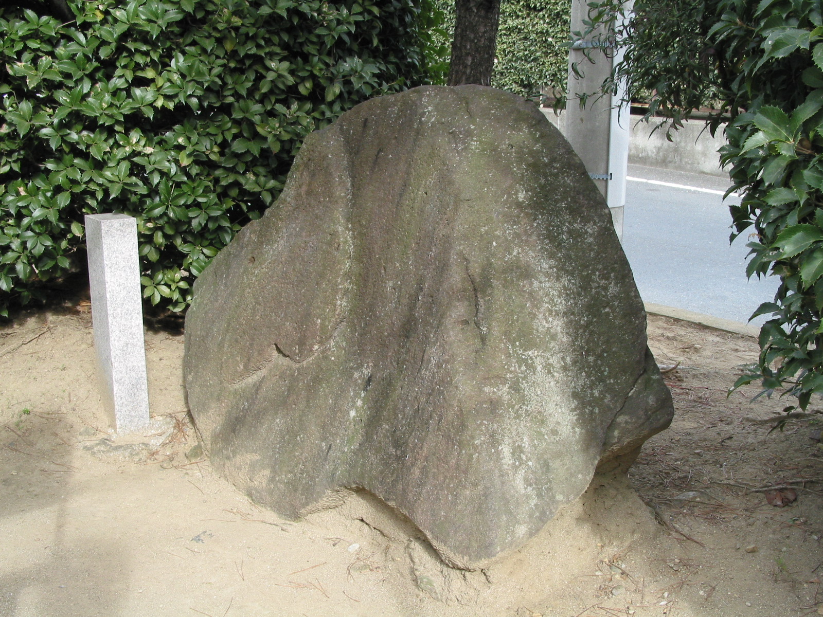 背面全景