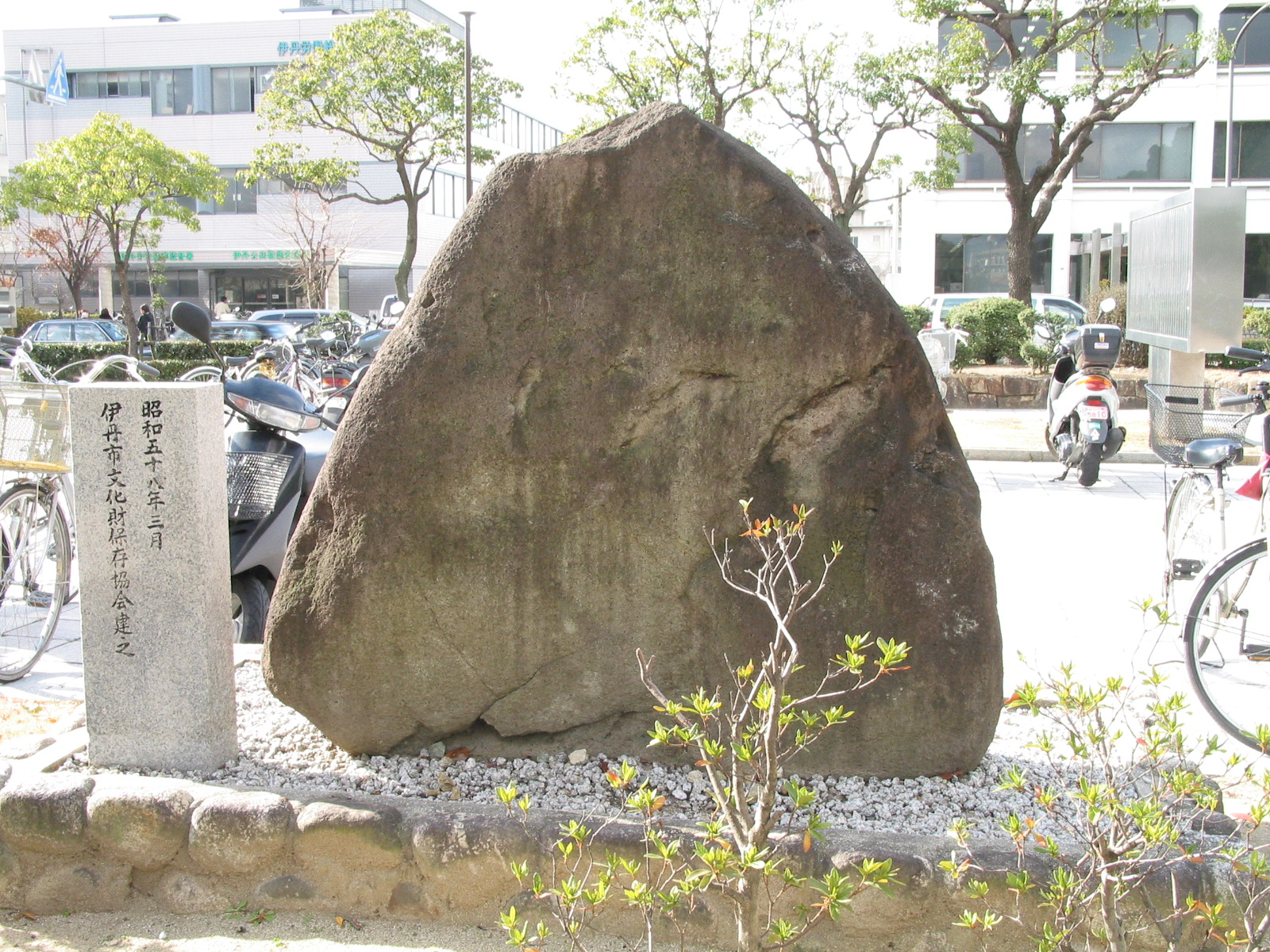 背面全景