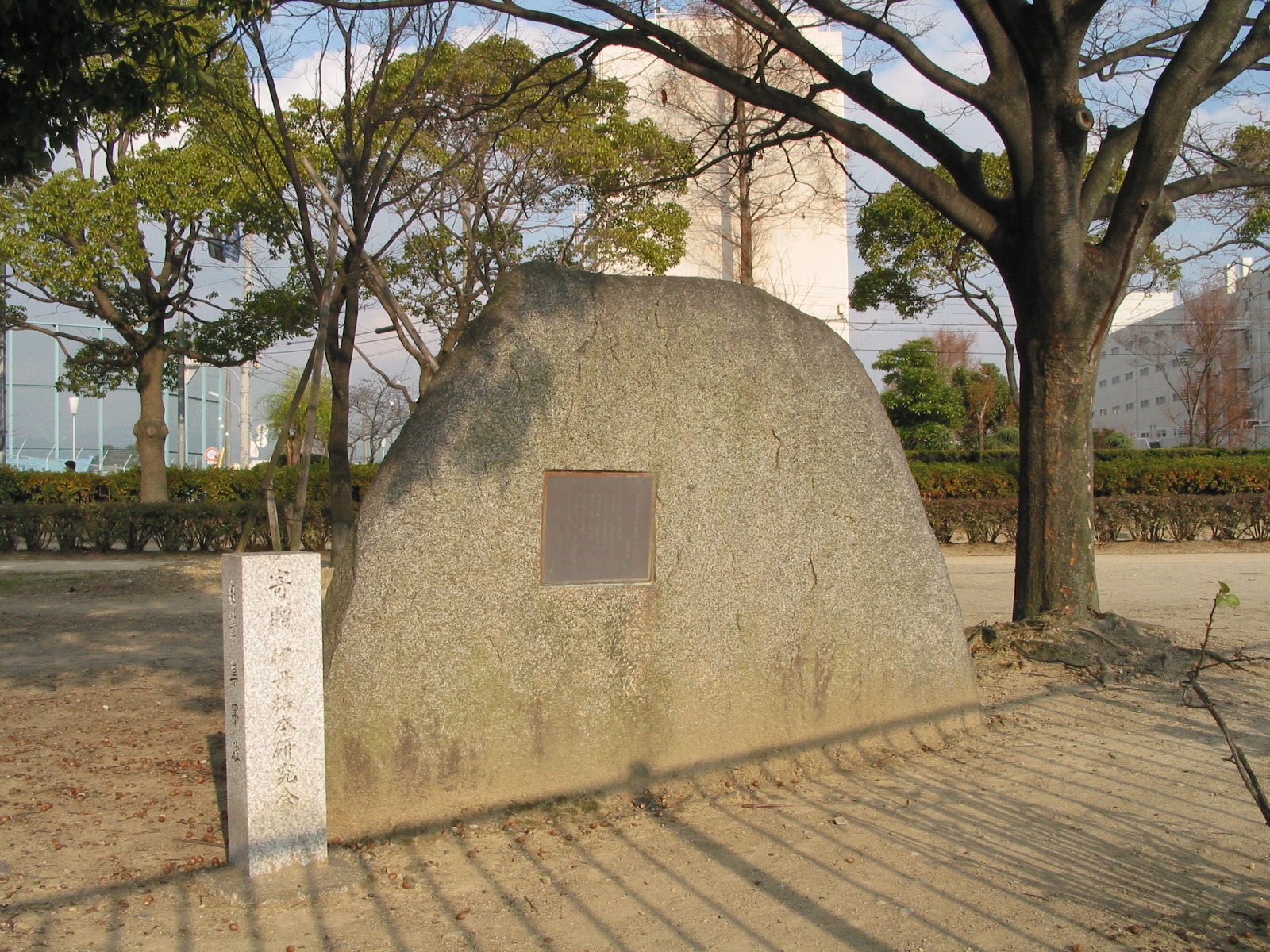 背面全景