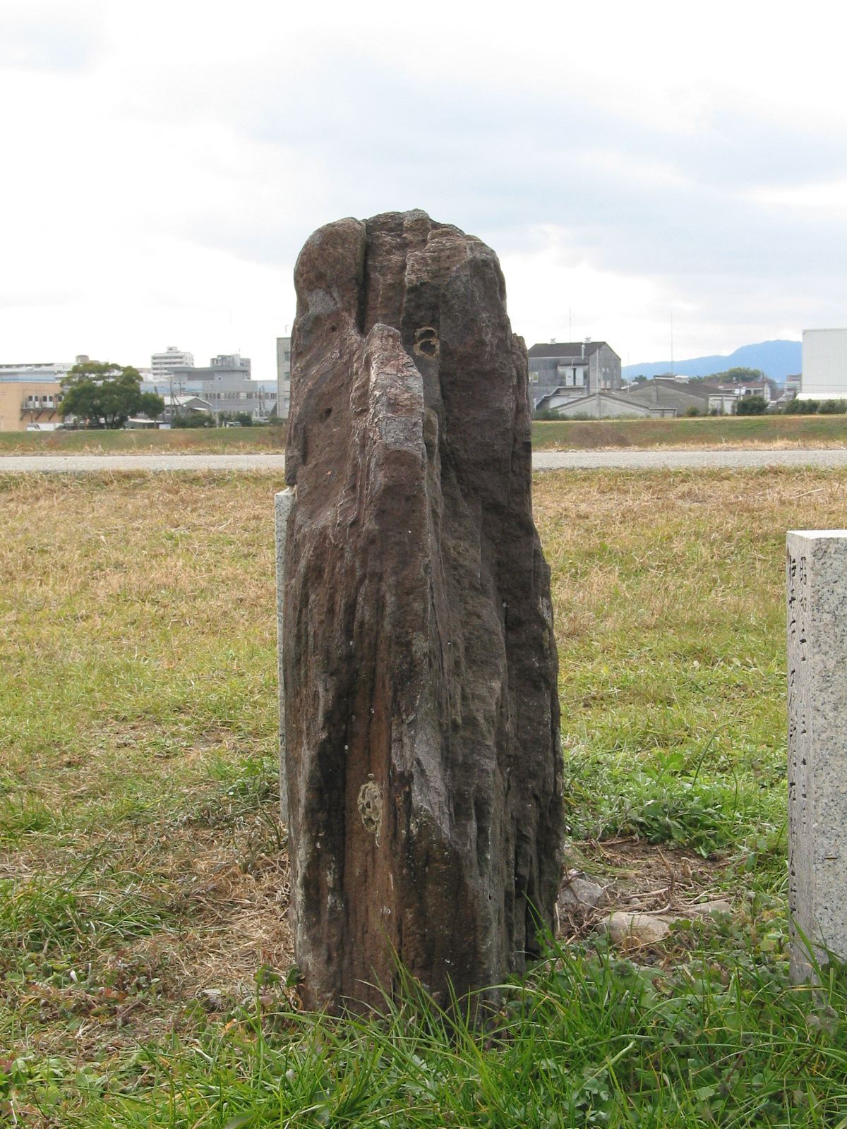 右全景