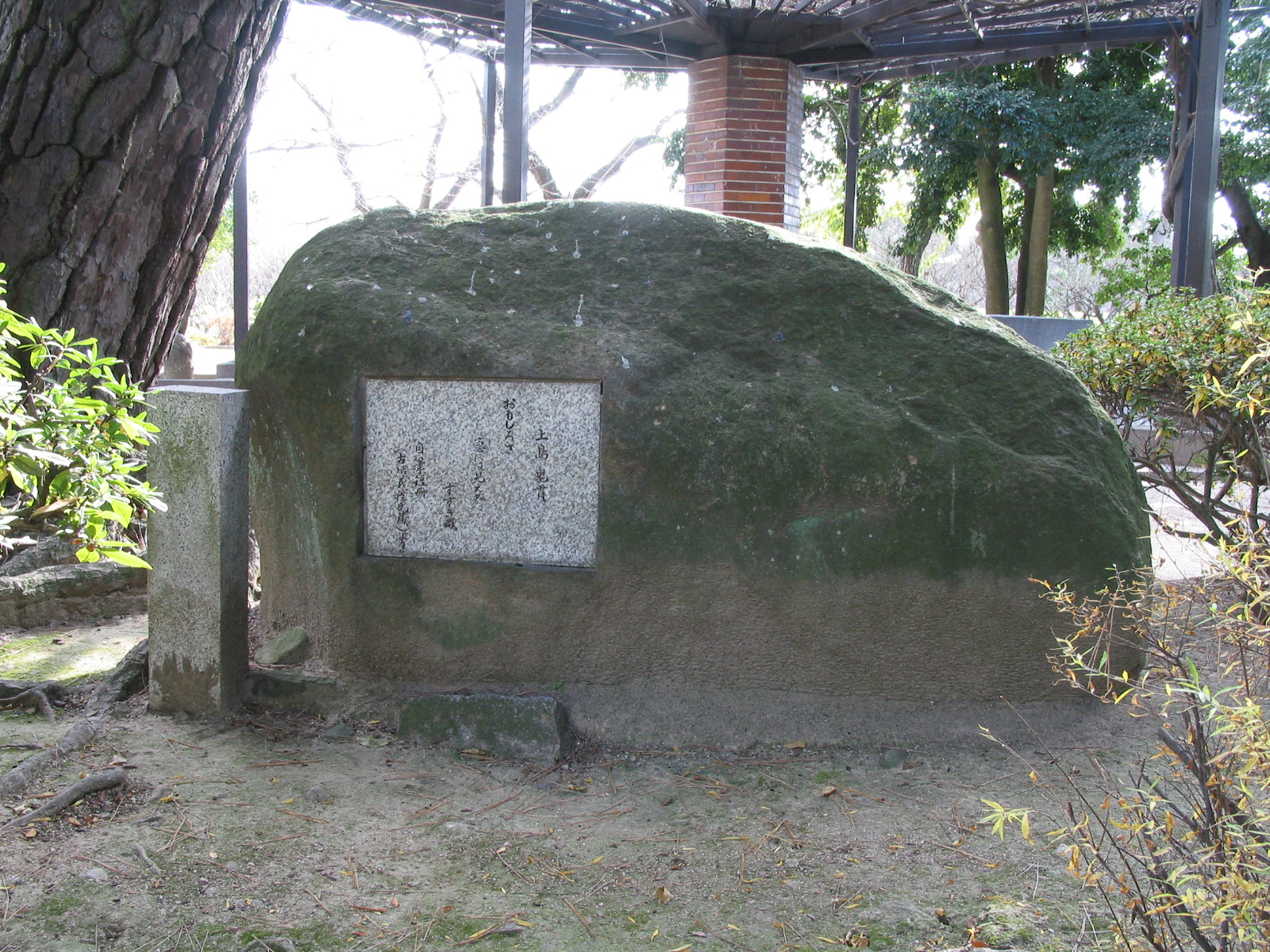 背面全景