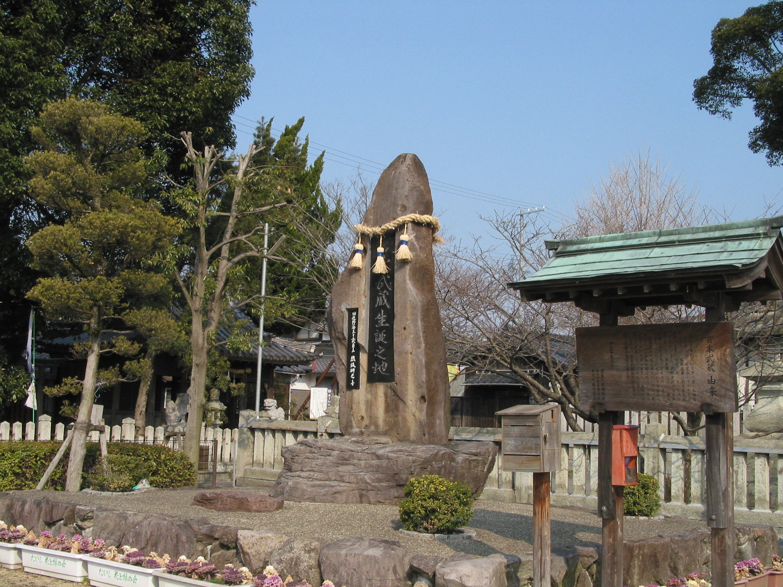 全景