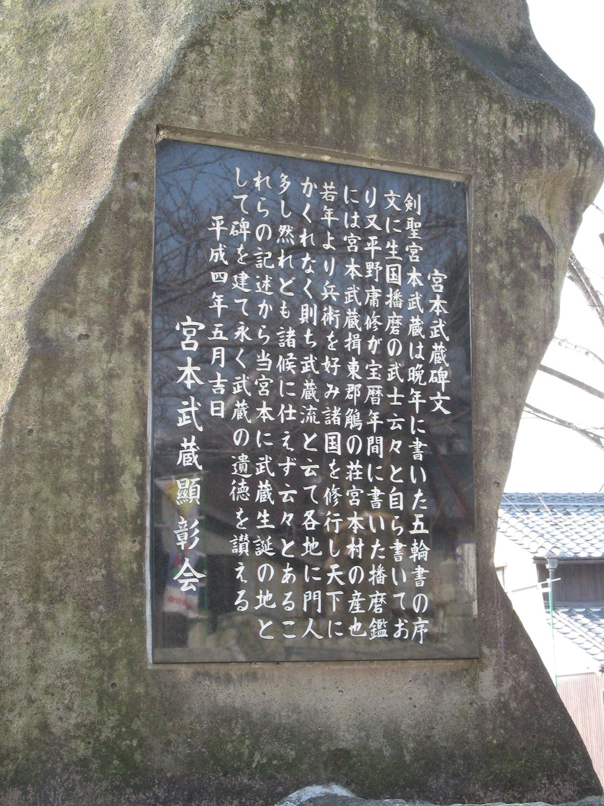 背面