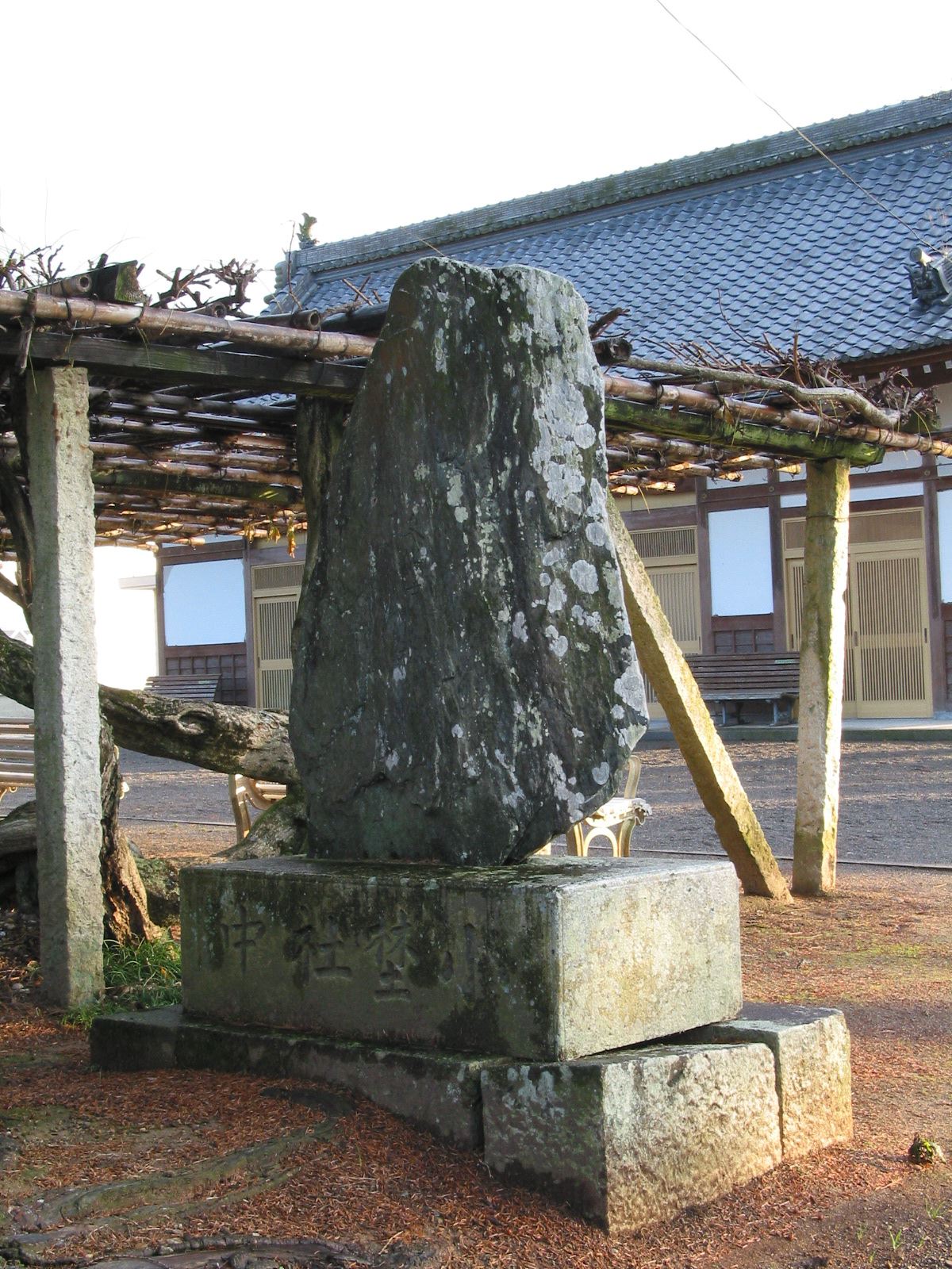 背面全景