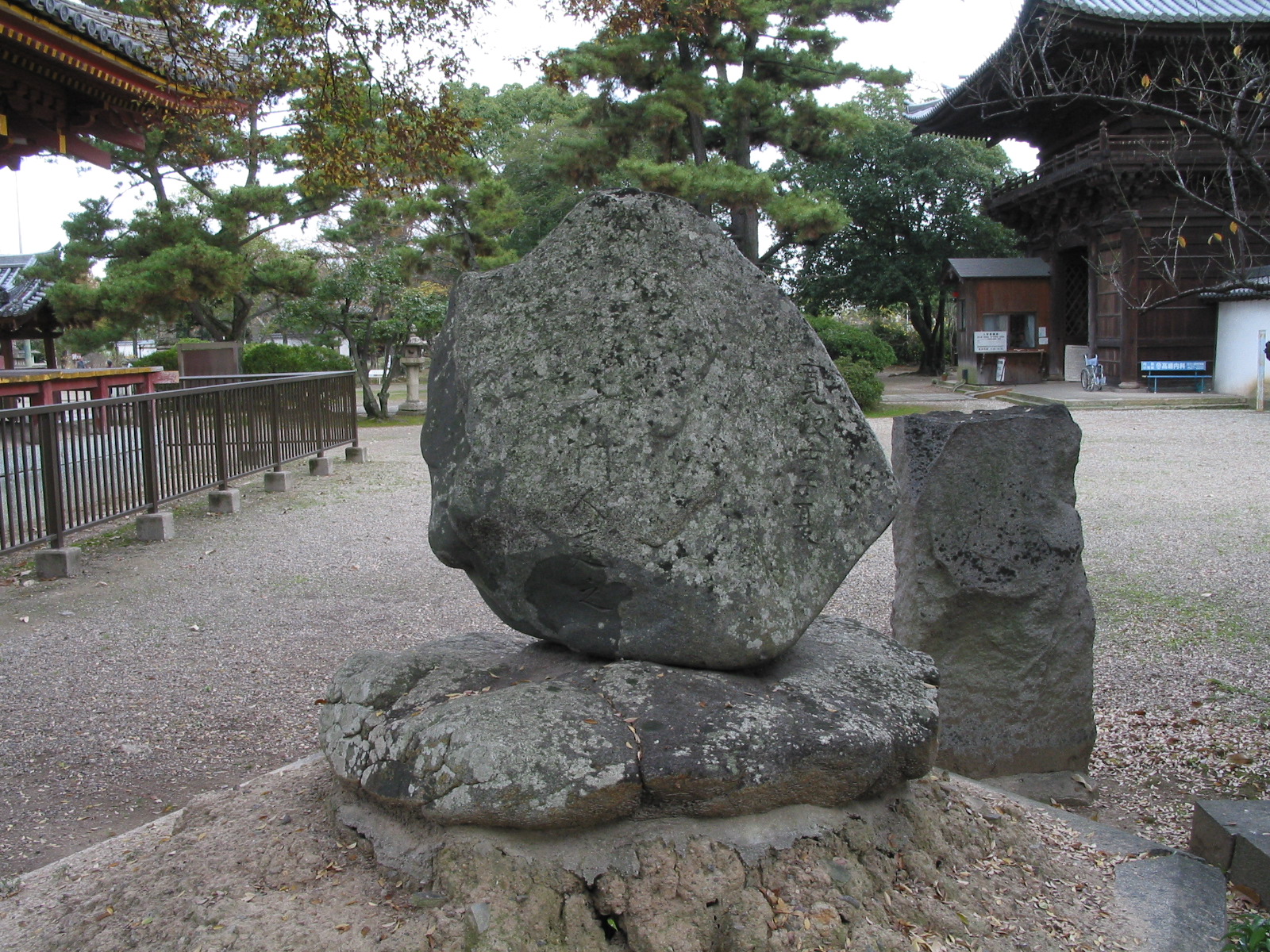 背面全景