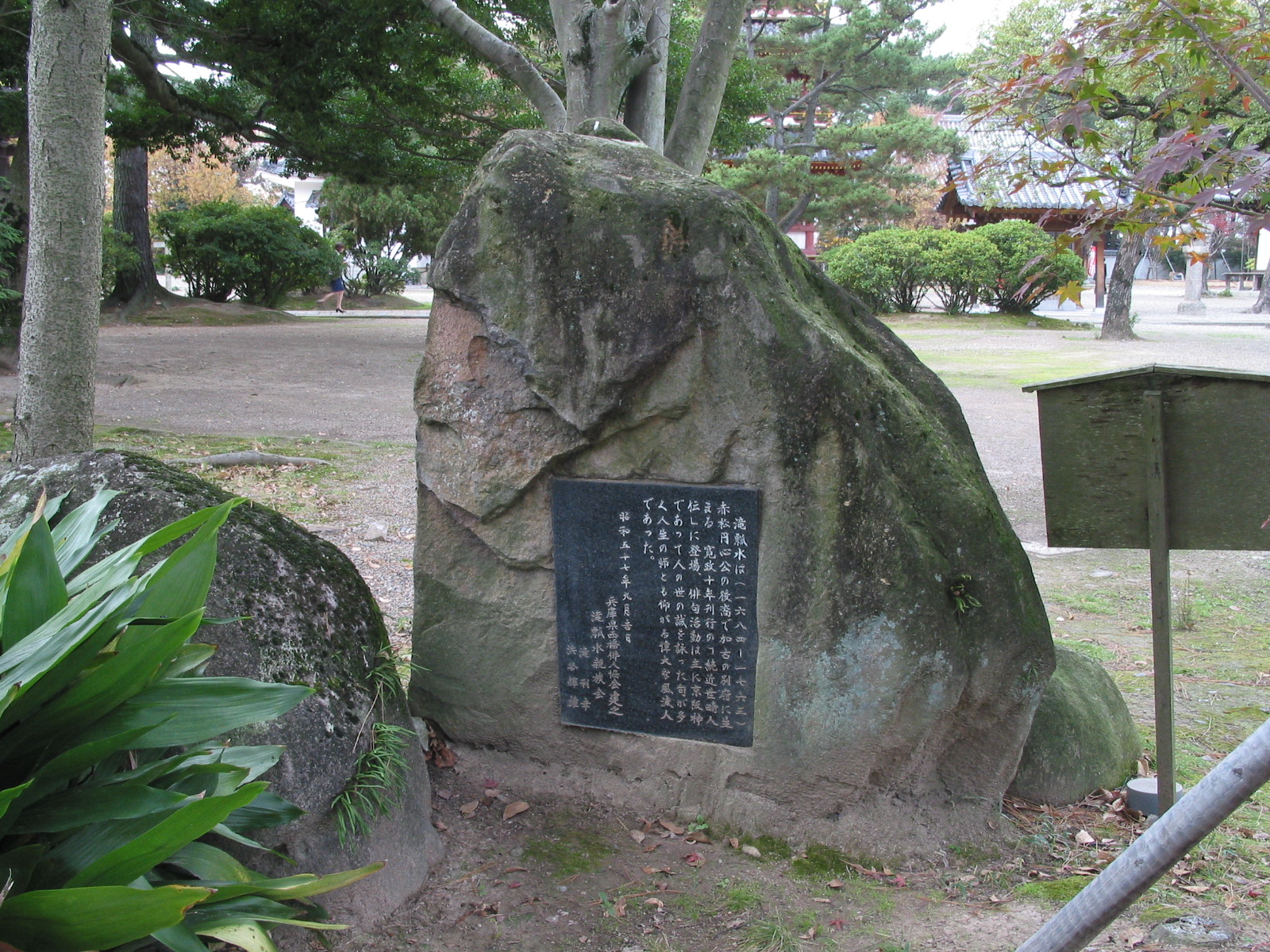 背面全景