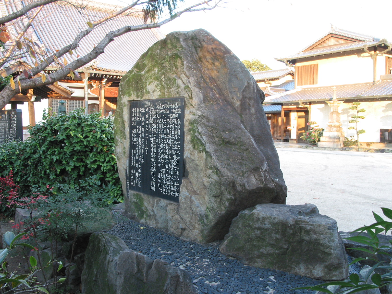 背面全景