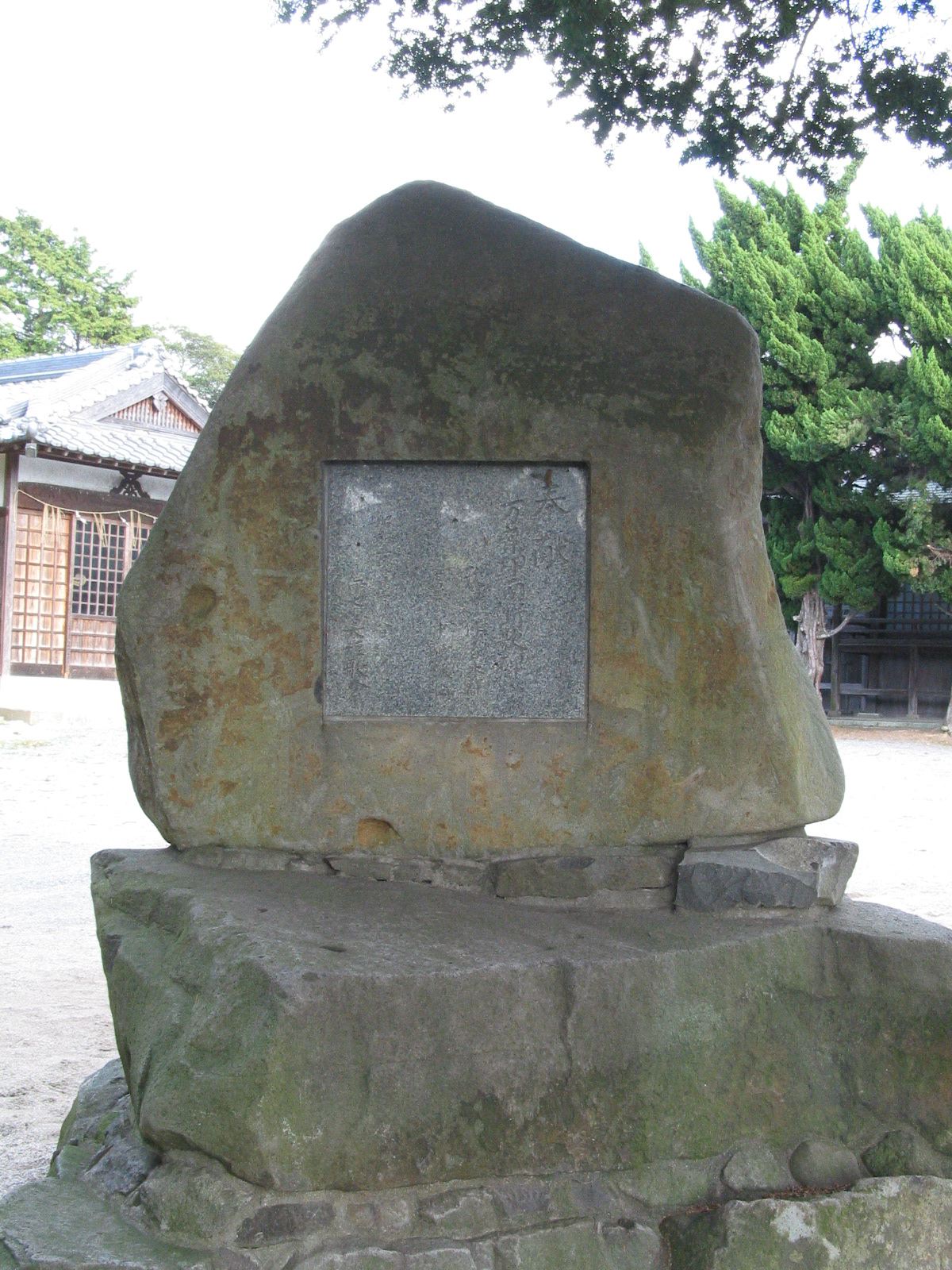 背面全景