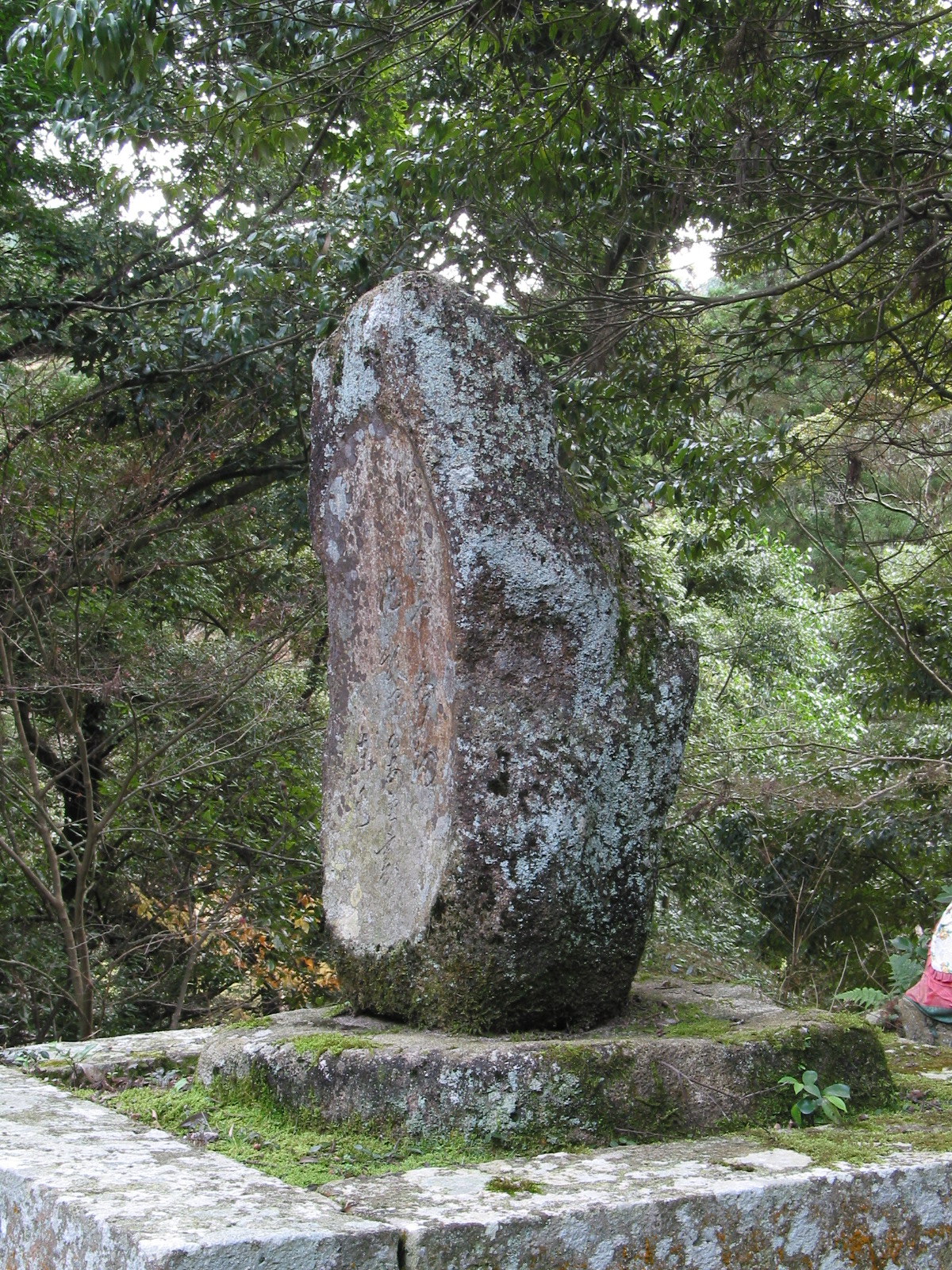 右全景