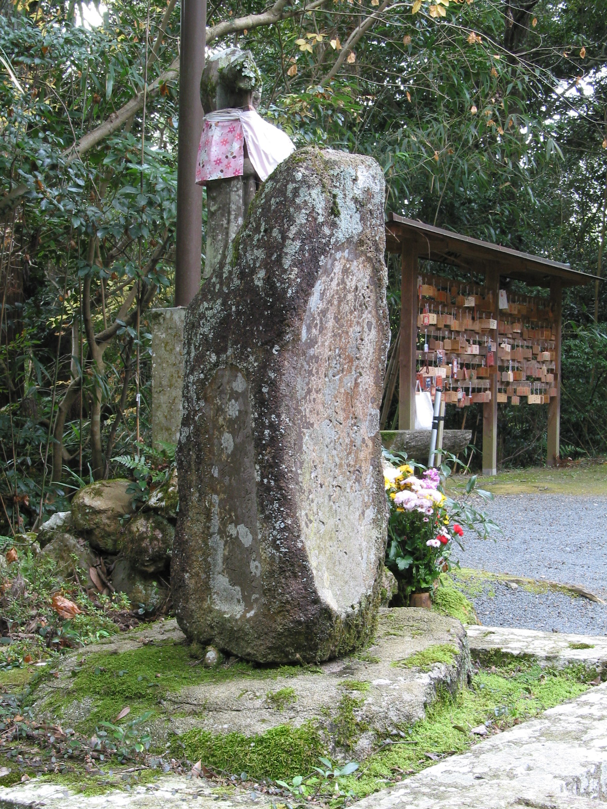 左斜め全景