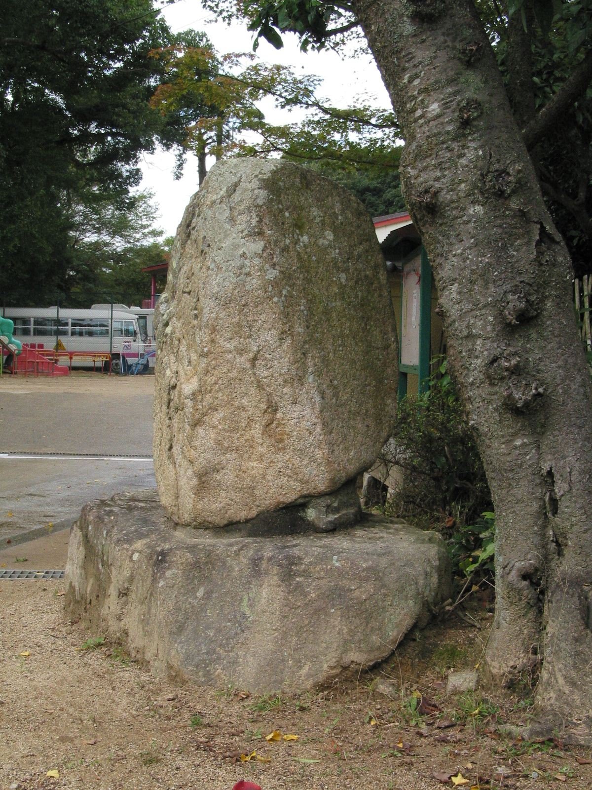 右全景