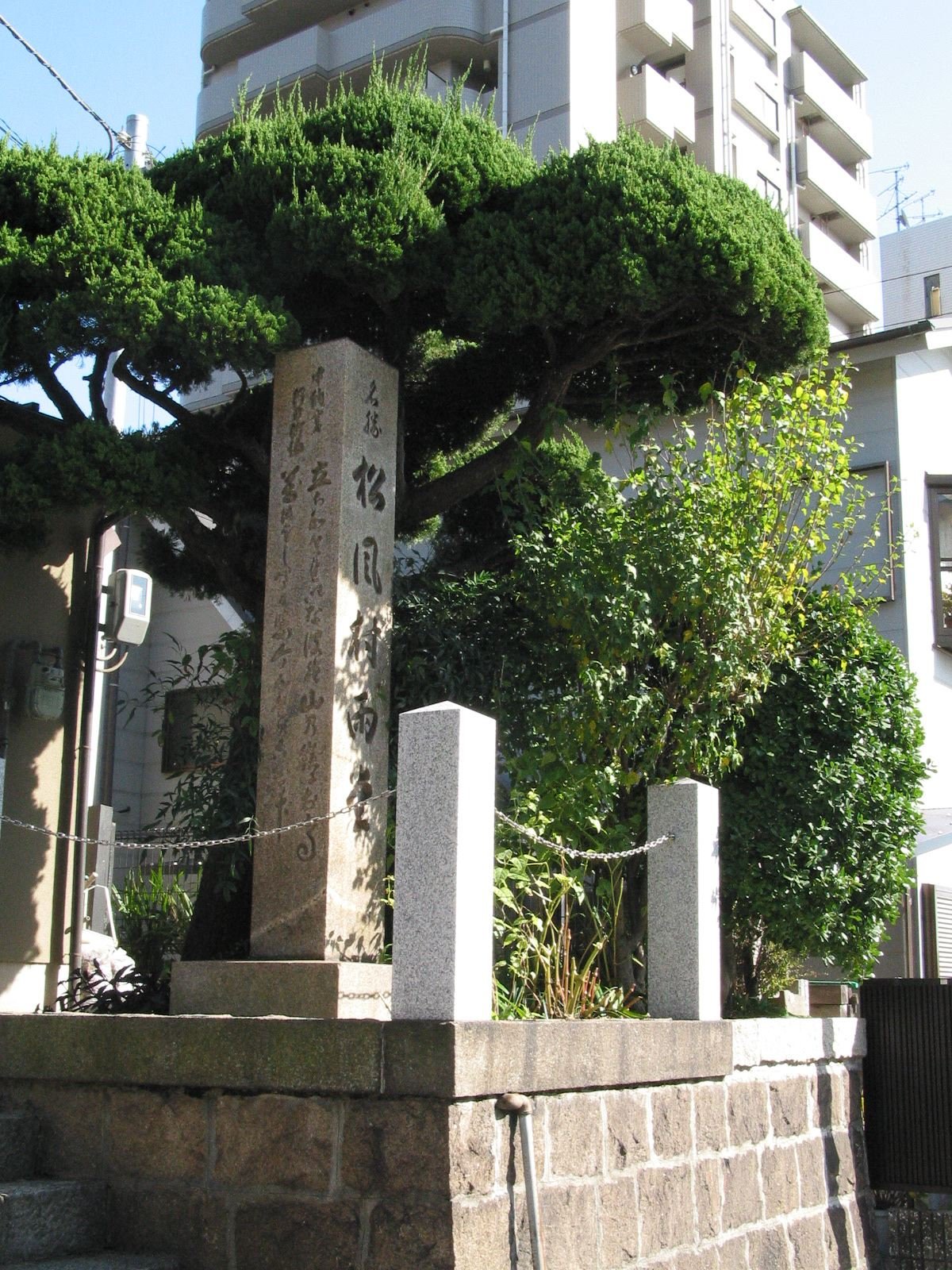 全景