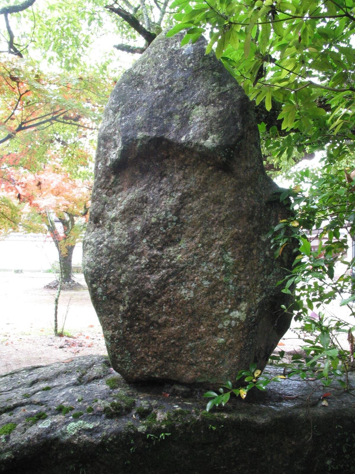 背面全景