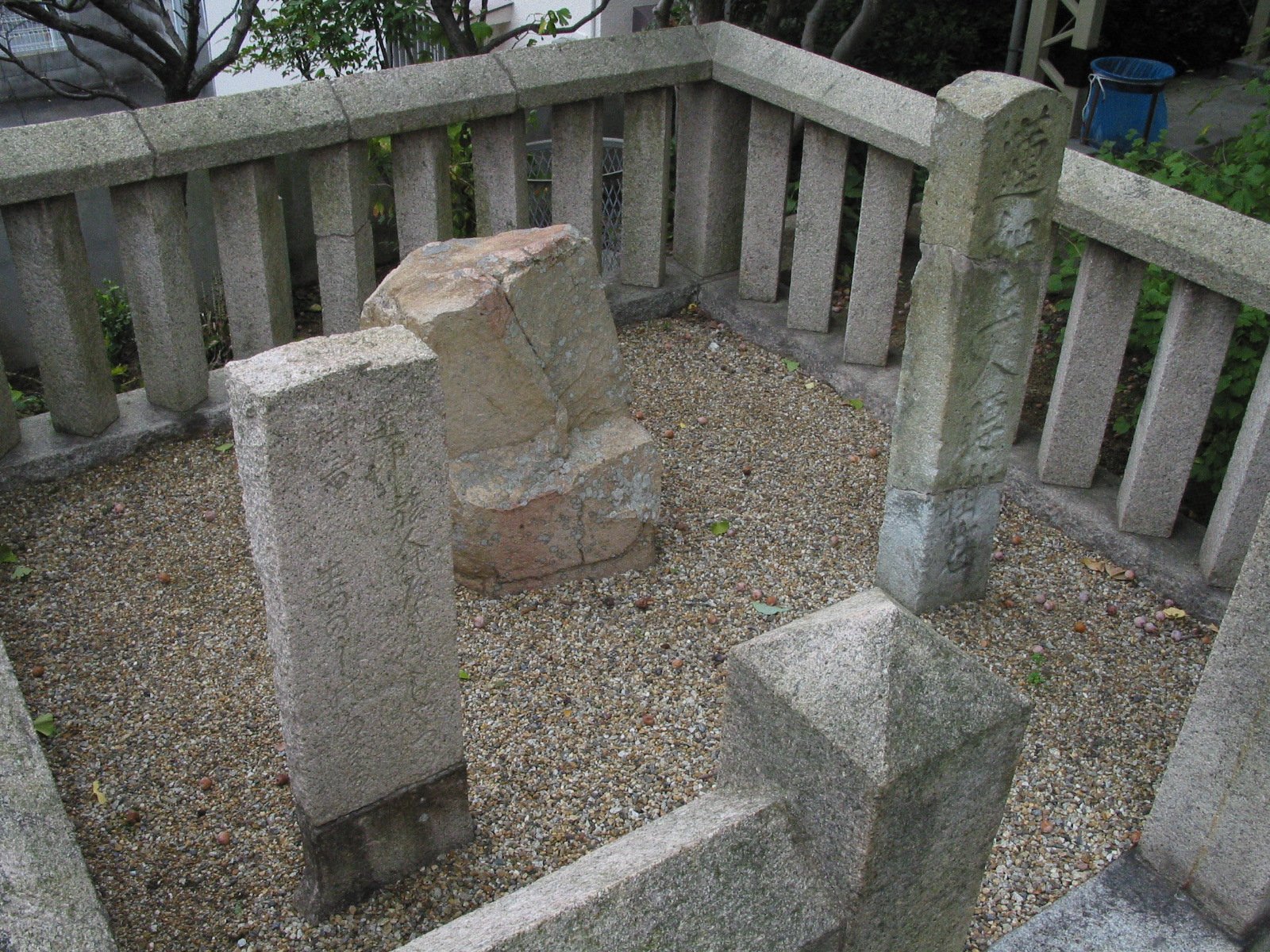 全景