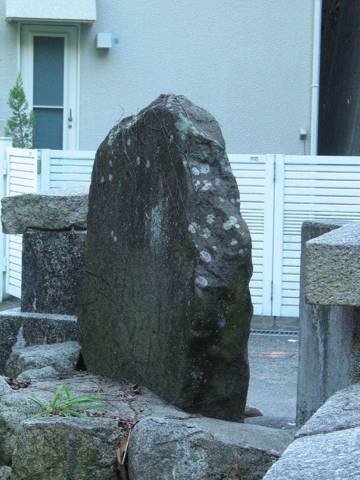 右背面全景