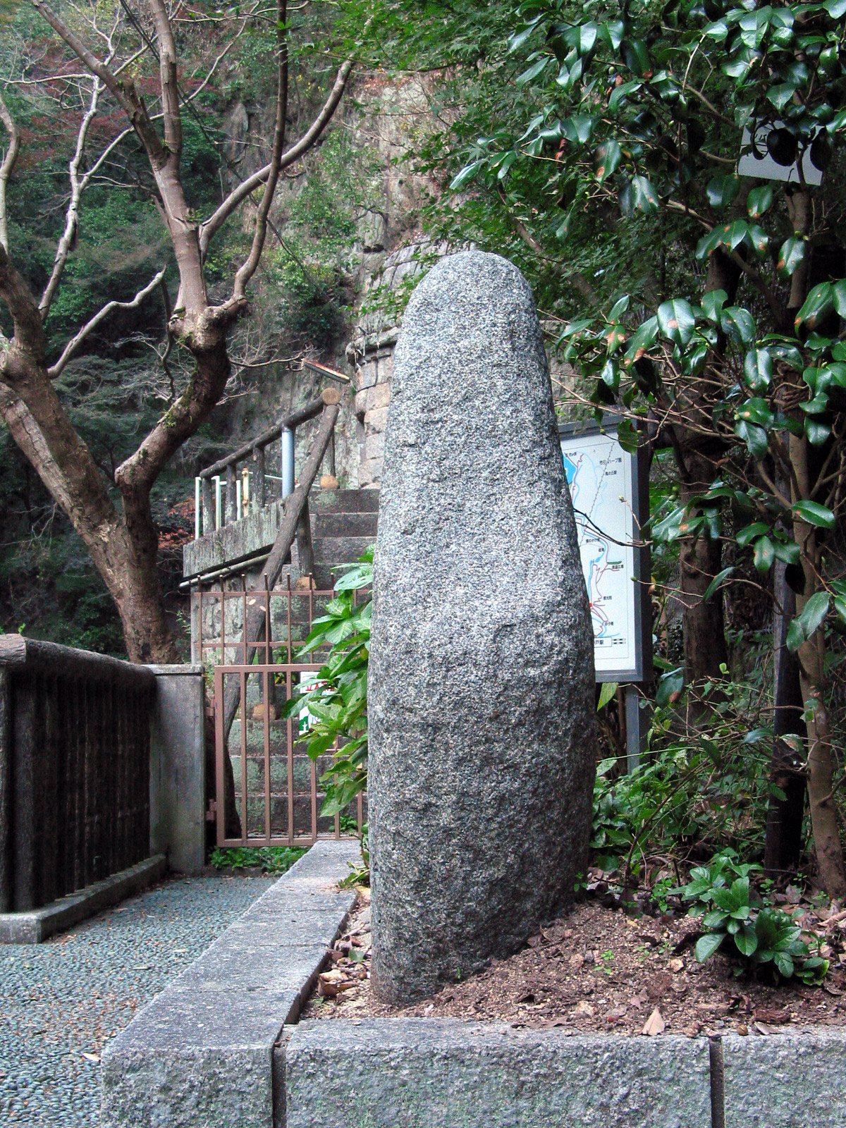 右全景