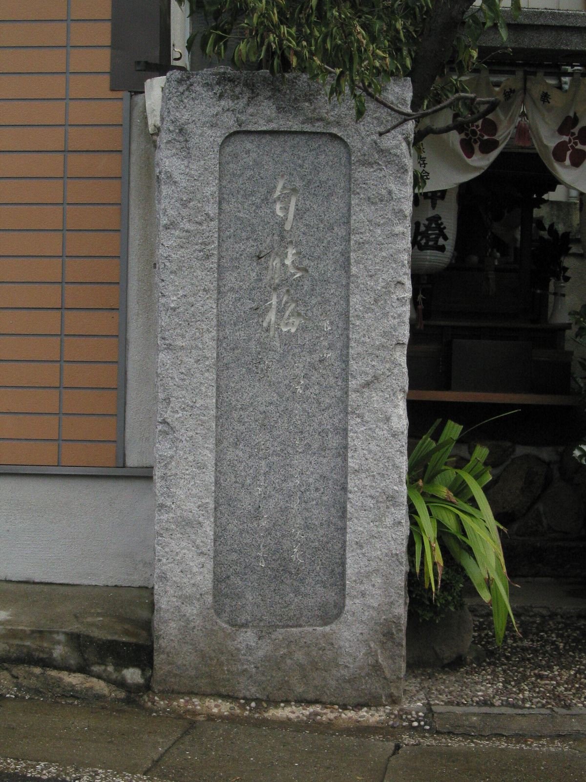 正面全景