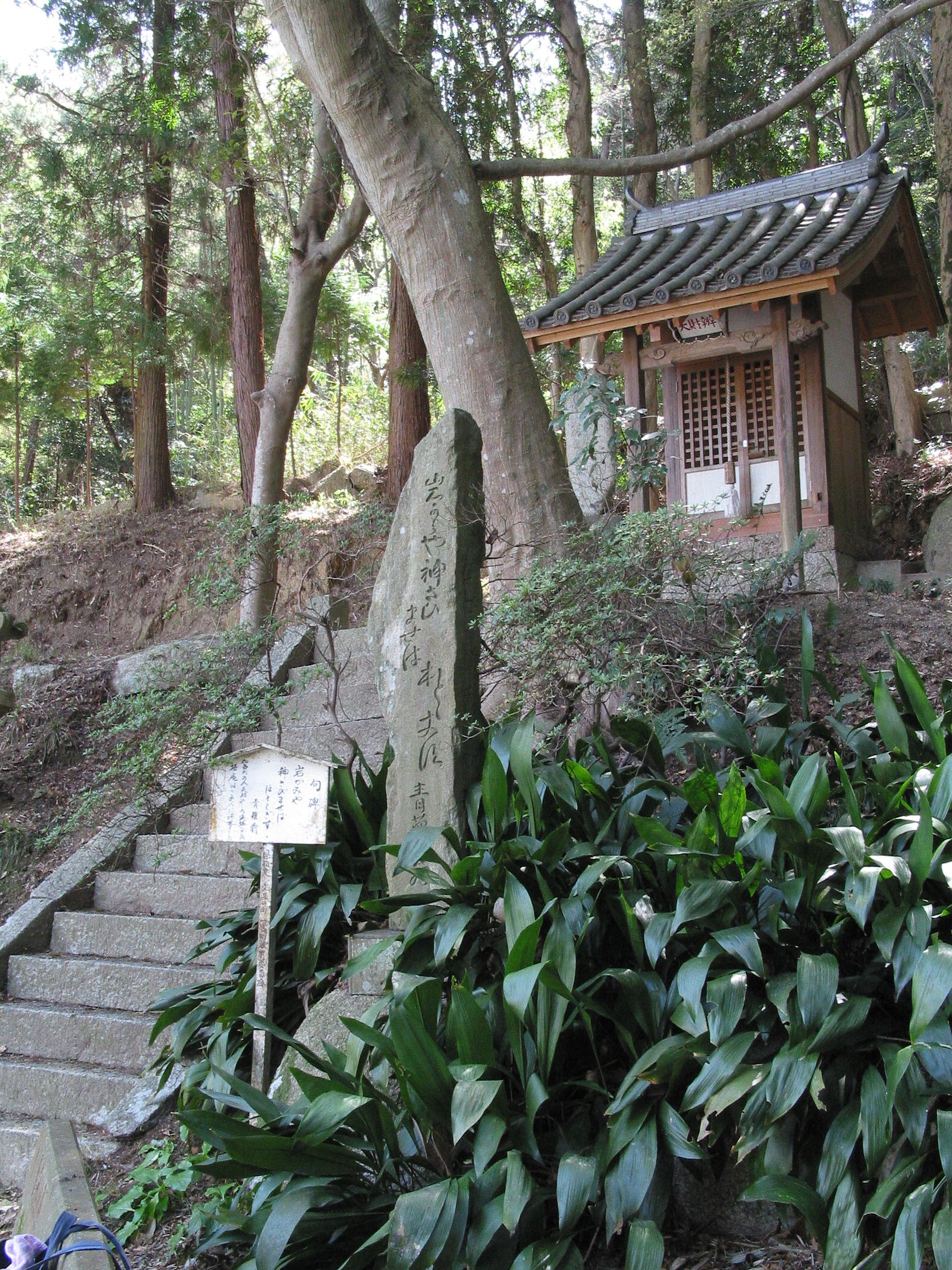 右斜め遠景