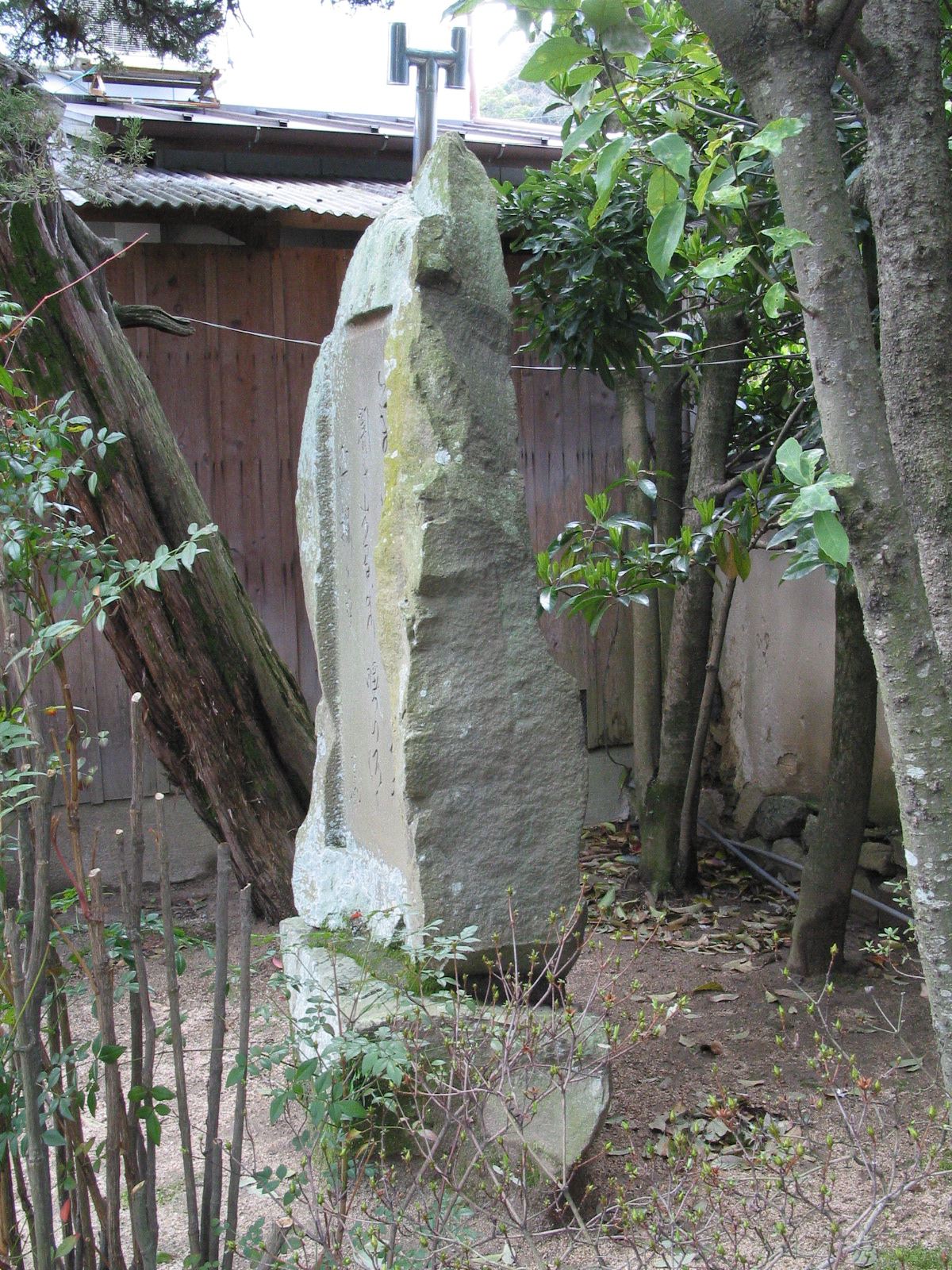 右全景
